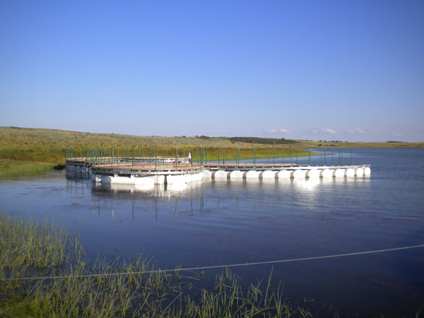 Isla Flotante - 2006